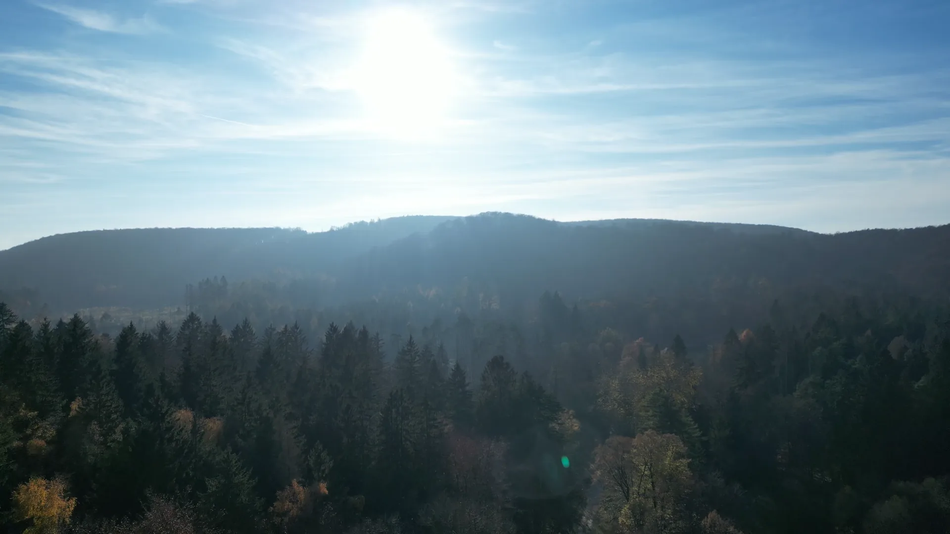 Wald im Gegenlicht — letzte Sonnenstrahlen zwischen den Stämmen